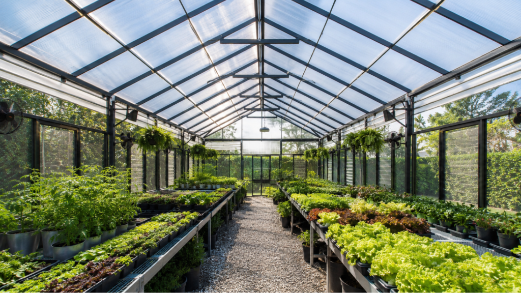 Penggunaan atap polycarbonate di greenhouse